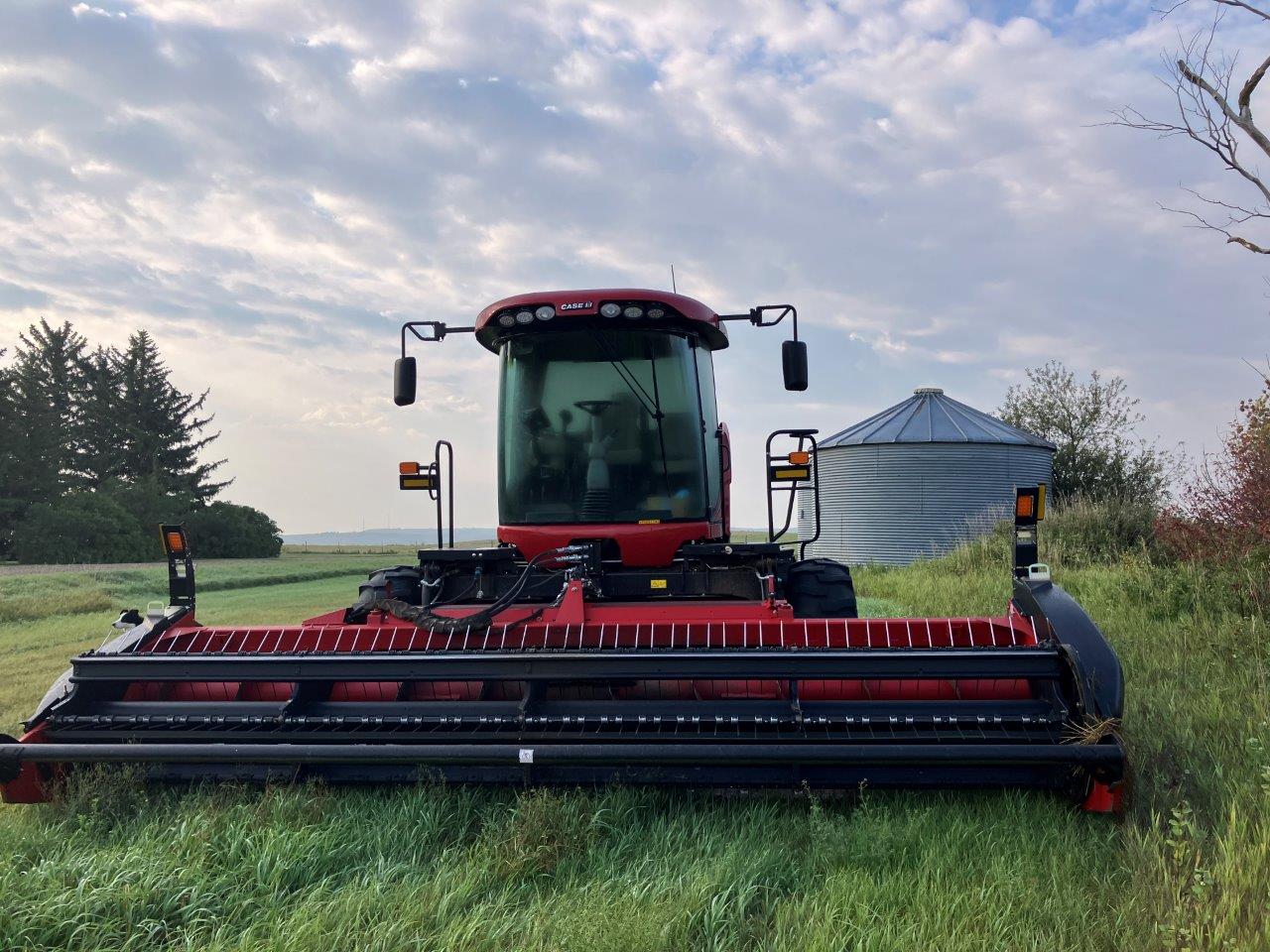 2024 Case IH WD1505 Windrower