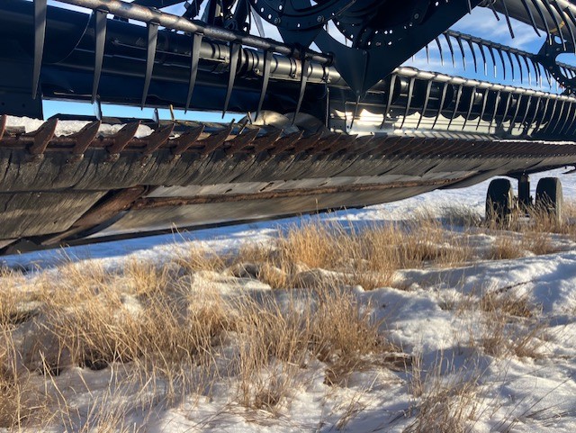 2013 Case IH 2162 Header Draper