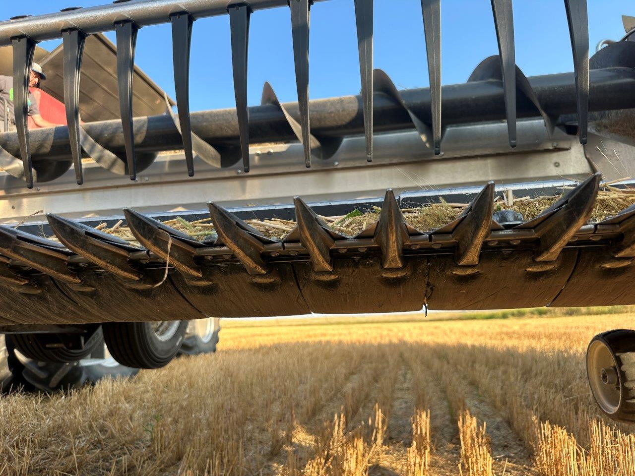 2025 MacDon FD245 Header Combine