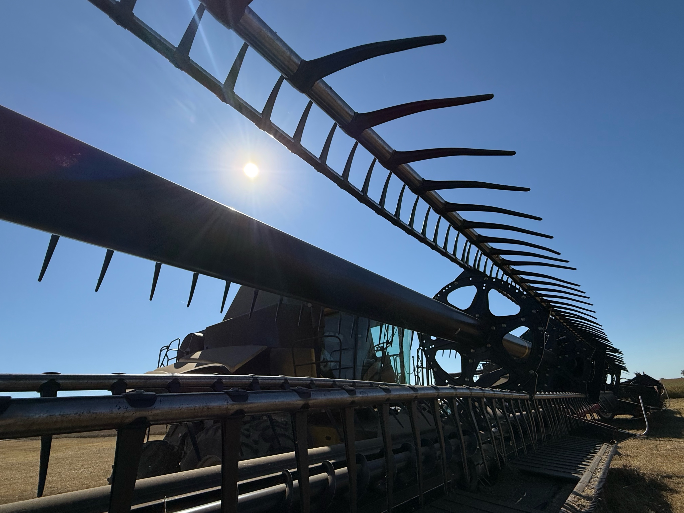 2012 Case IH 2162 Header Draper