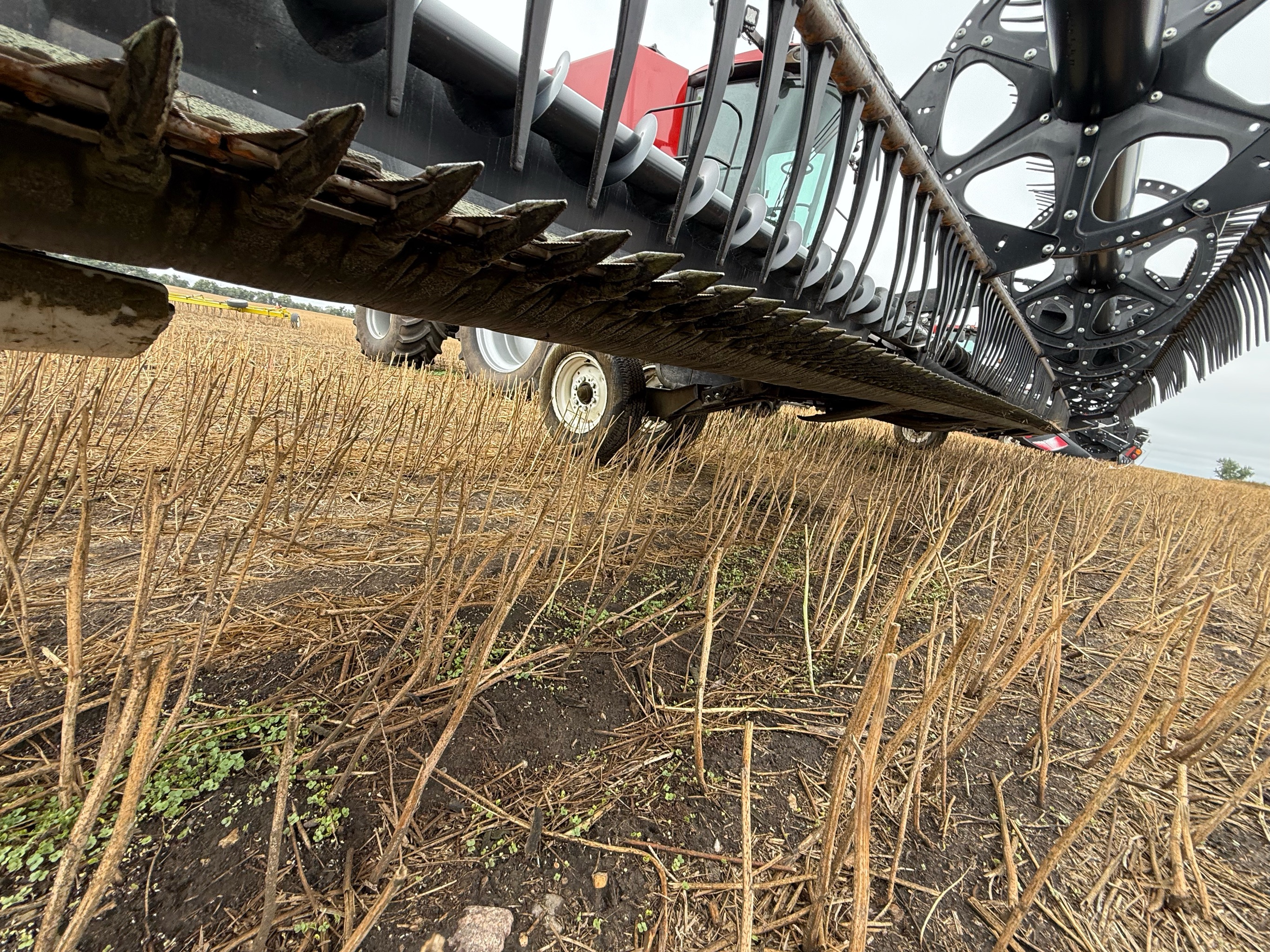 2020 MacDon FD140 Header Combine