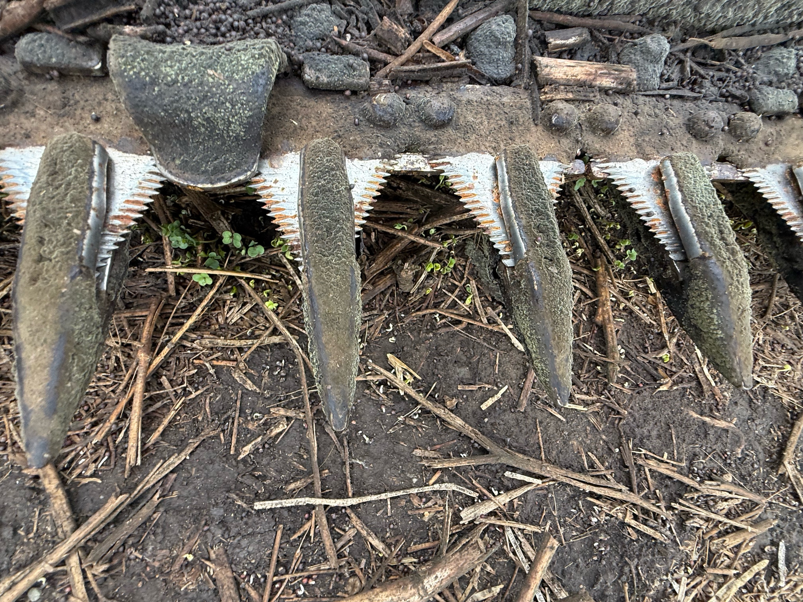 2019 MacDon FD140 Header Combine