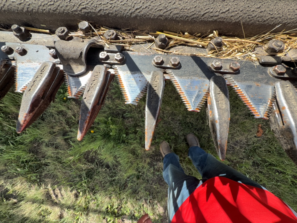 2019 MacDon FD140 Header Combine