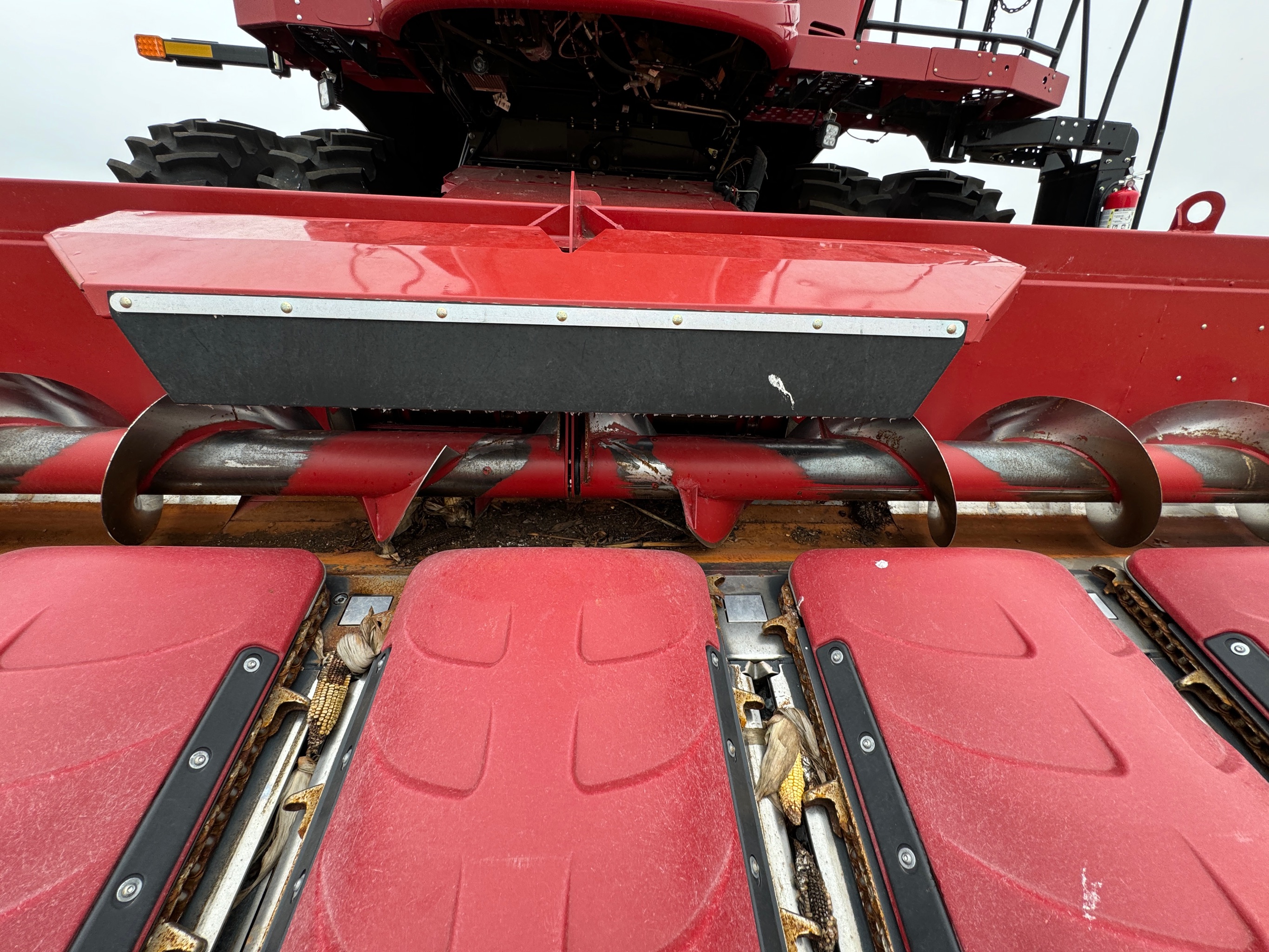 2023 Case IH 4412 Header Corn Head