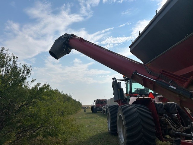 2019 Brent V1300 Grain Cart