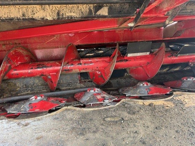 2023 Case IH WD2505 Windrower