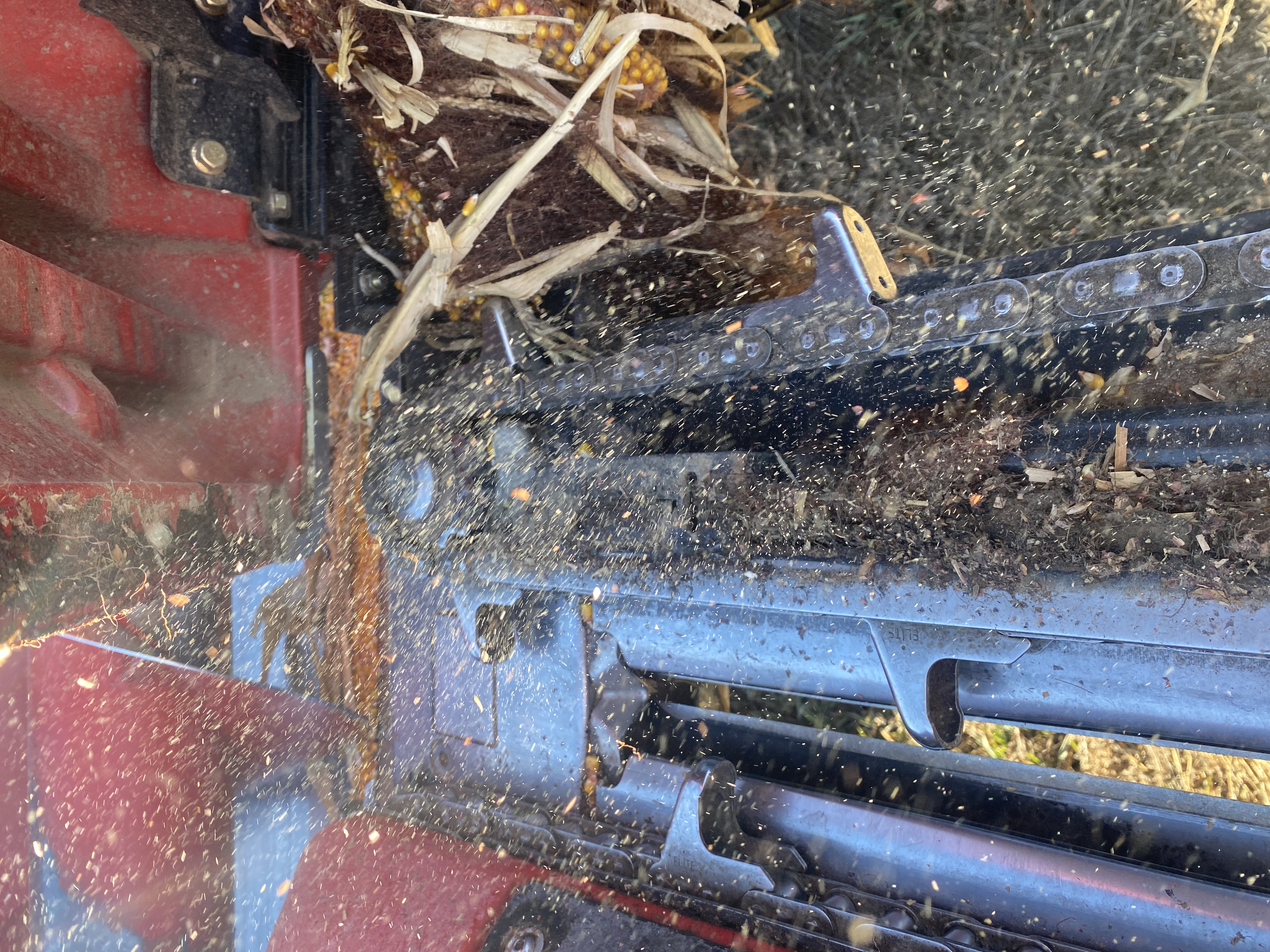 2021 Case IH 4412 Header Corn Head