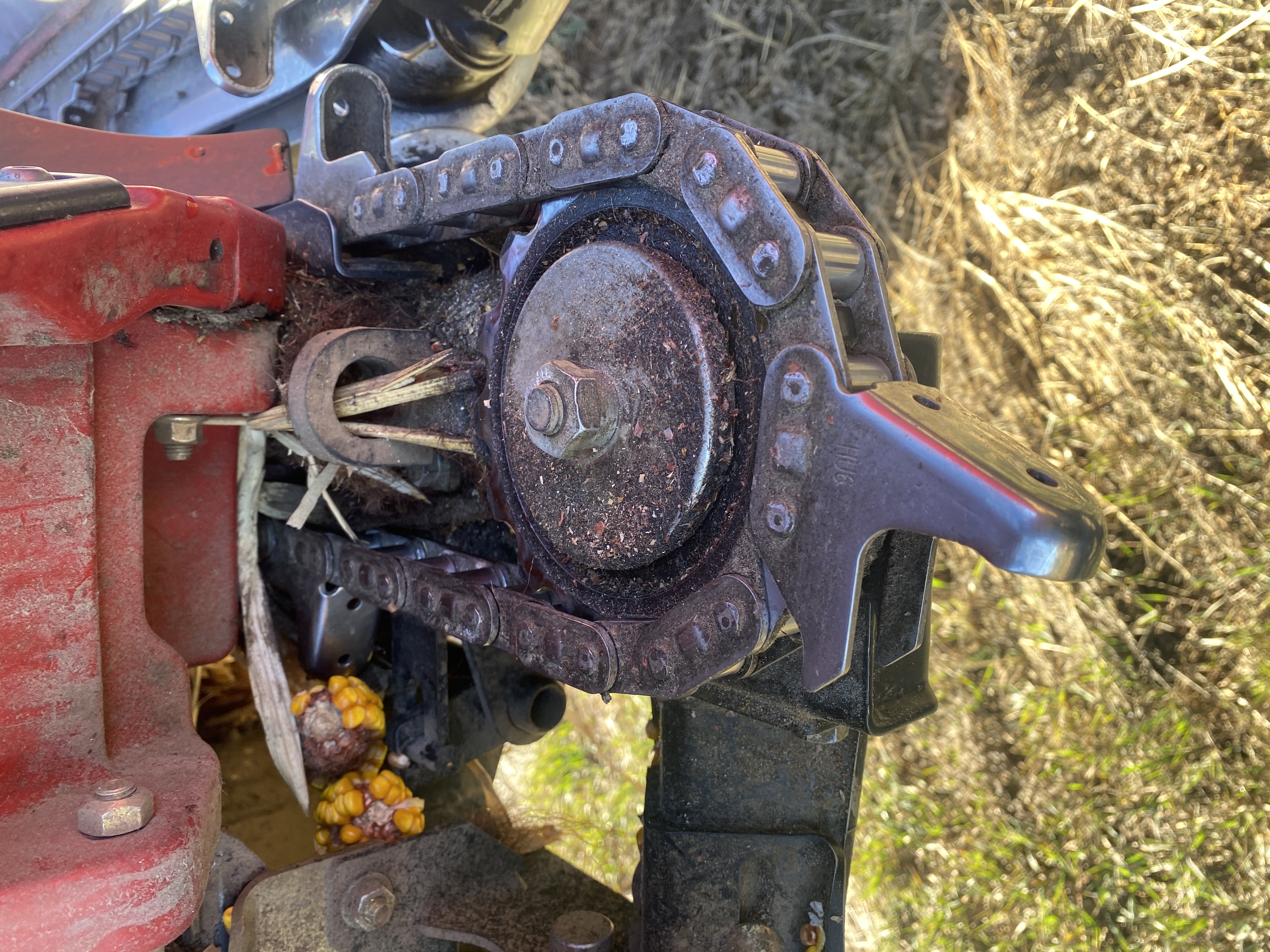 2021 Case IH 4412 Header Corn Head