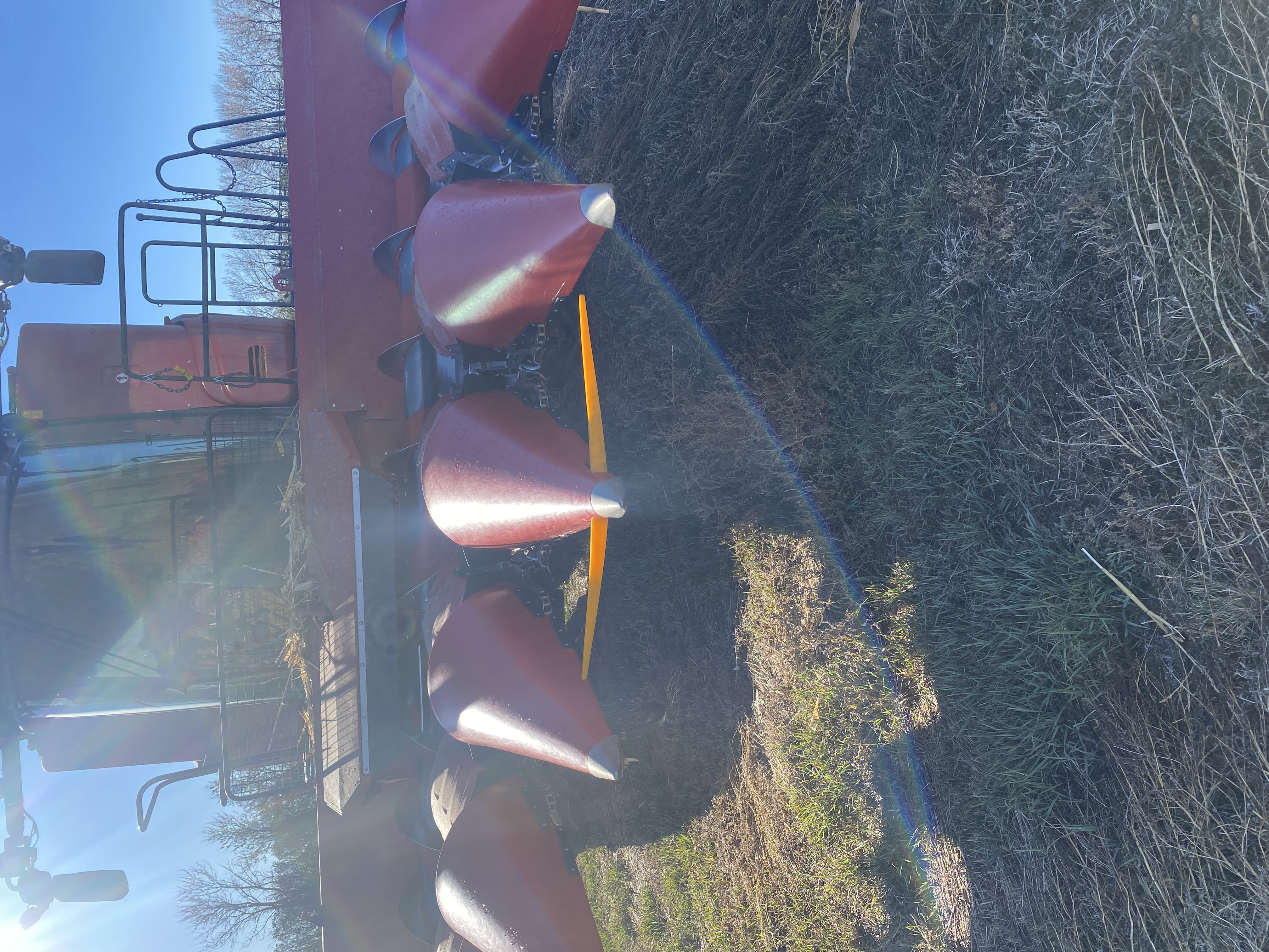 2021 Case IH 4412 Header Corn Head