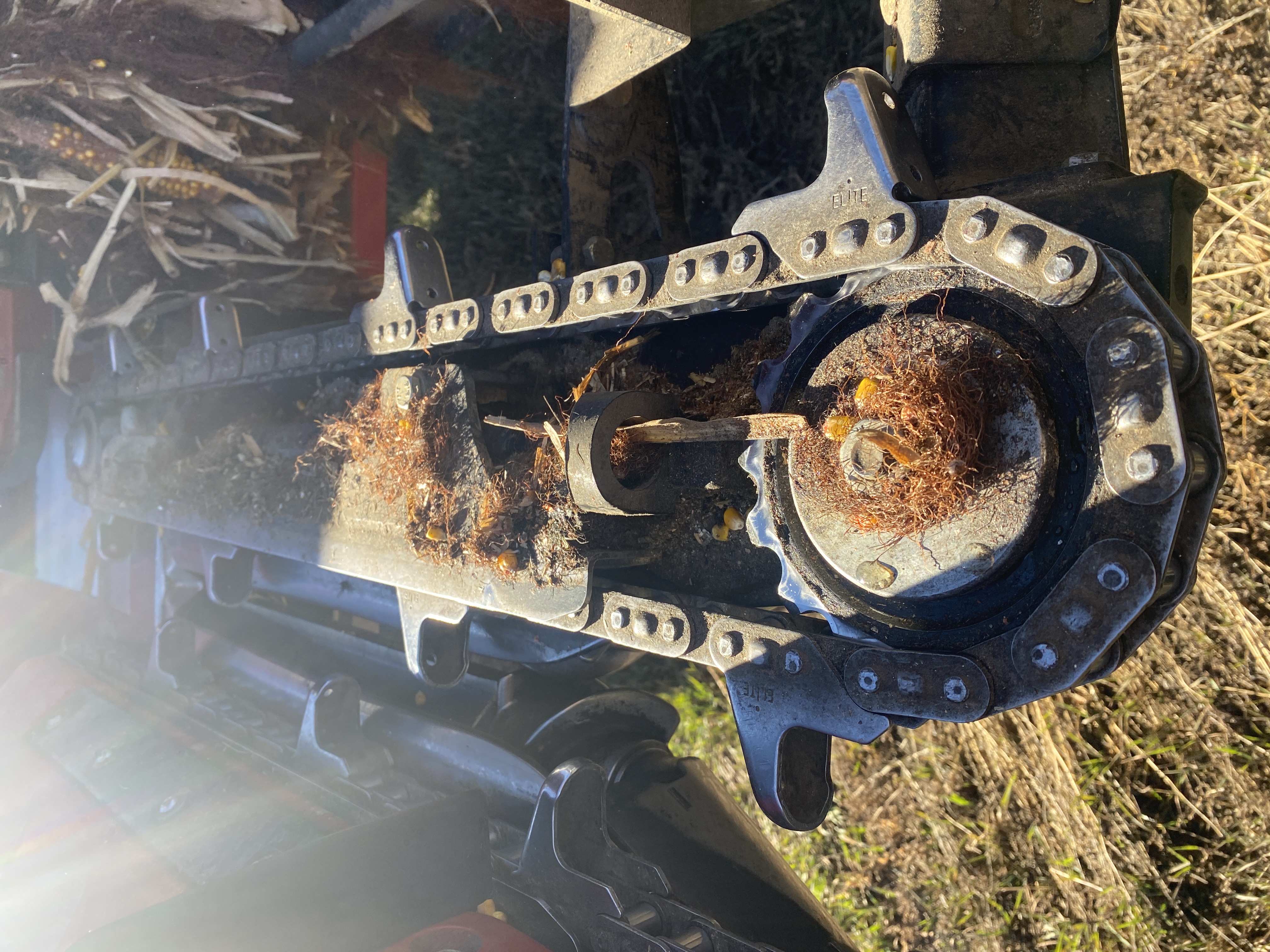 2021 Case IH 4412 Header Corn Head