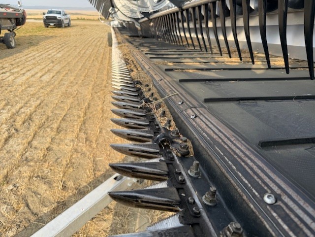 2022 MacDon FD250 Header Combine