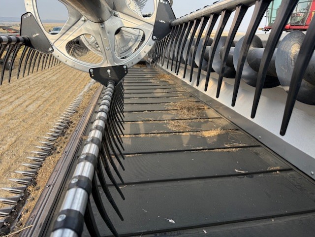 2022 MacDon FD250 Header Combine