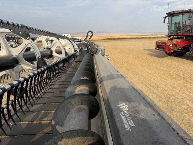 2022 MacDon FD250 Header Combine