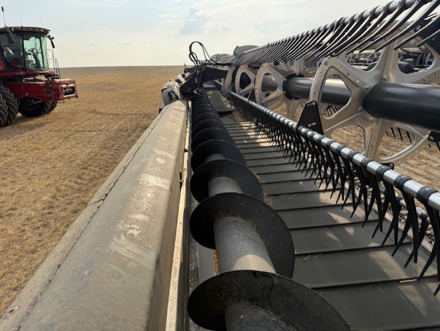 2022 MacDon FD250 Header Combine