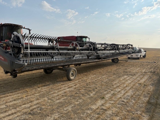 2022 MacDon FD250 Header Combine