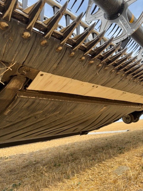 2024 MacDon FD250 Header Combine