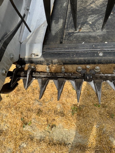 2024 MacDon FD250 Header Combine