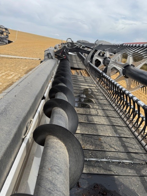 2024 MacDon FD250 Header Combine