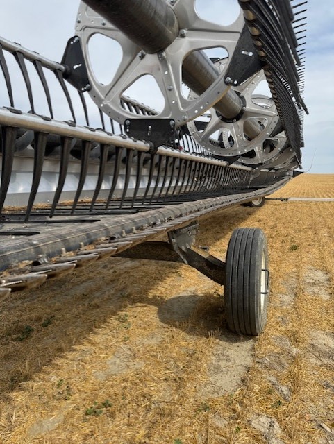 2024 MacDon FD250 Header Combine