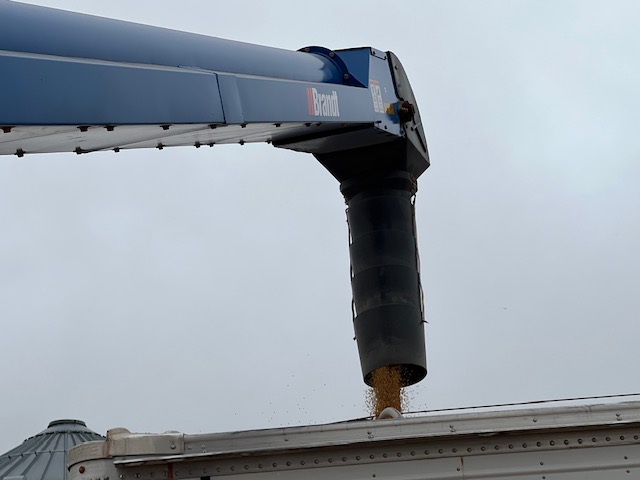 2024 Brandt 1547LP+ Belt Conveyor