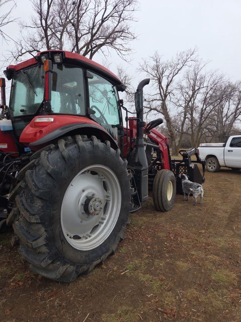 2019 Case IH Farmall 110A Tractor