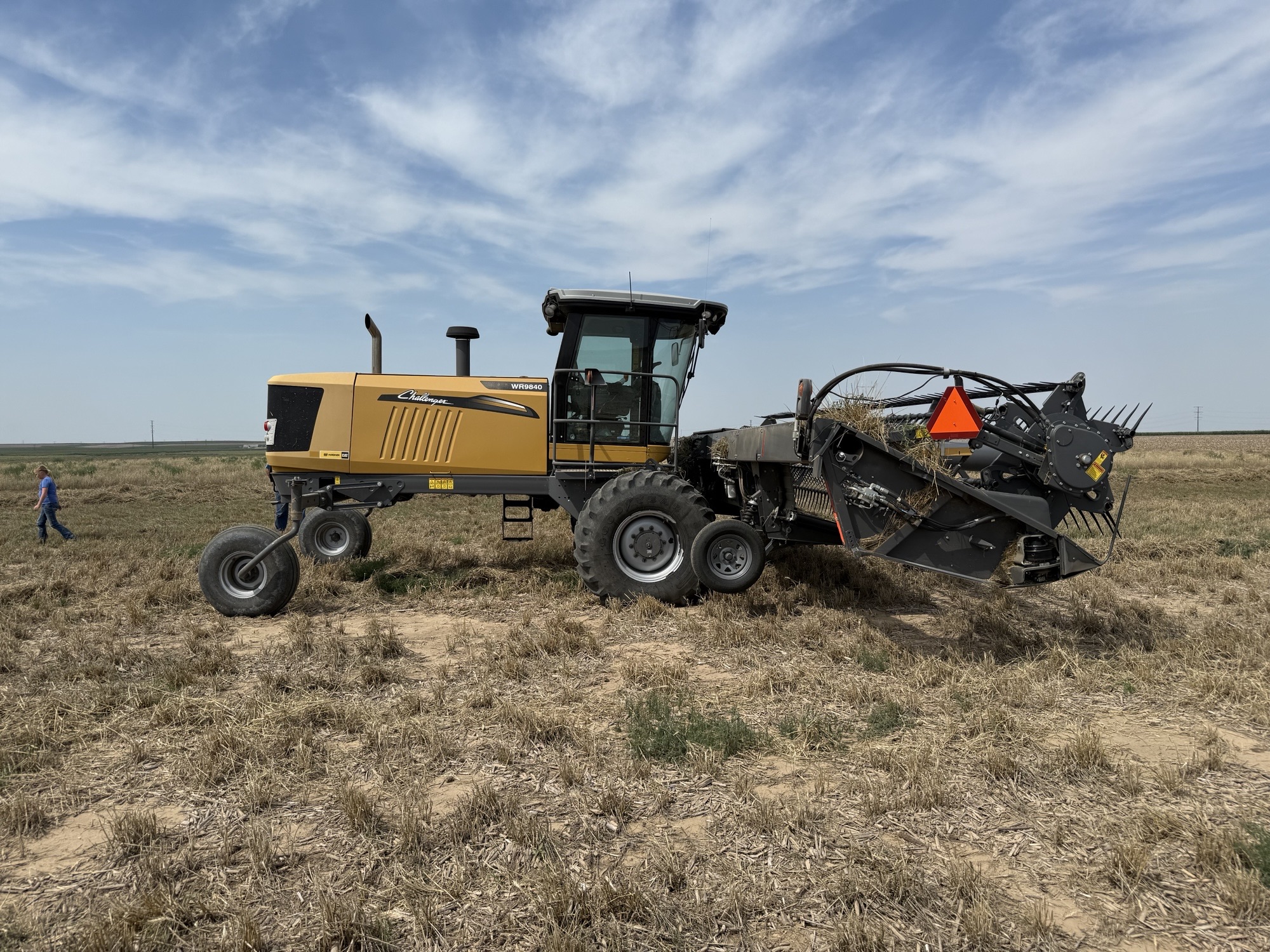 2015 Challenger WR9840 Windrower