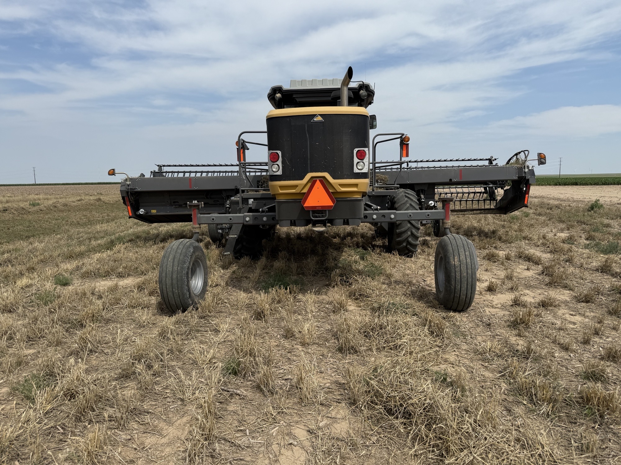 2015 Challenger WR9840 Windrower