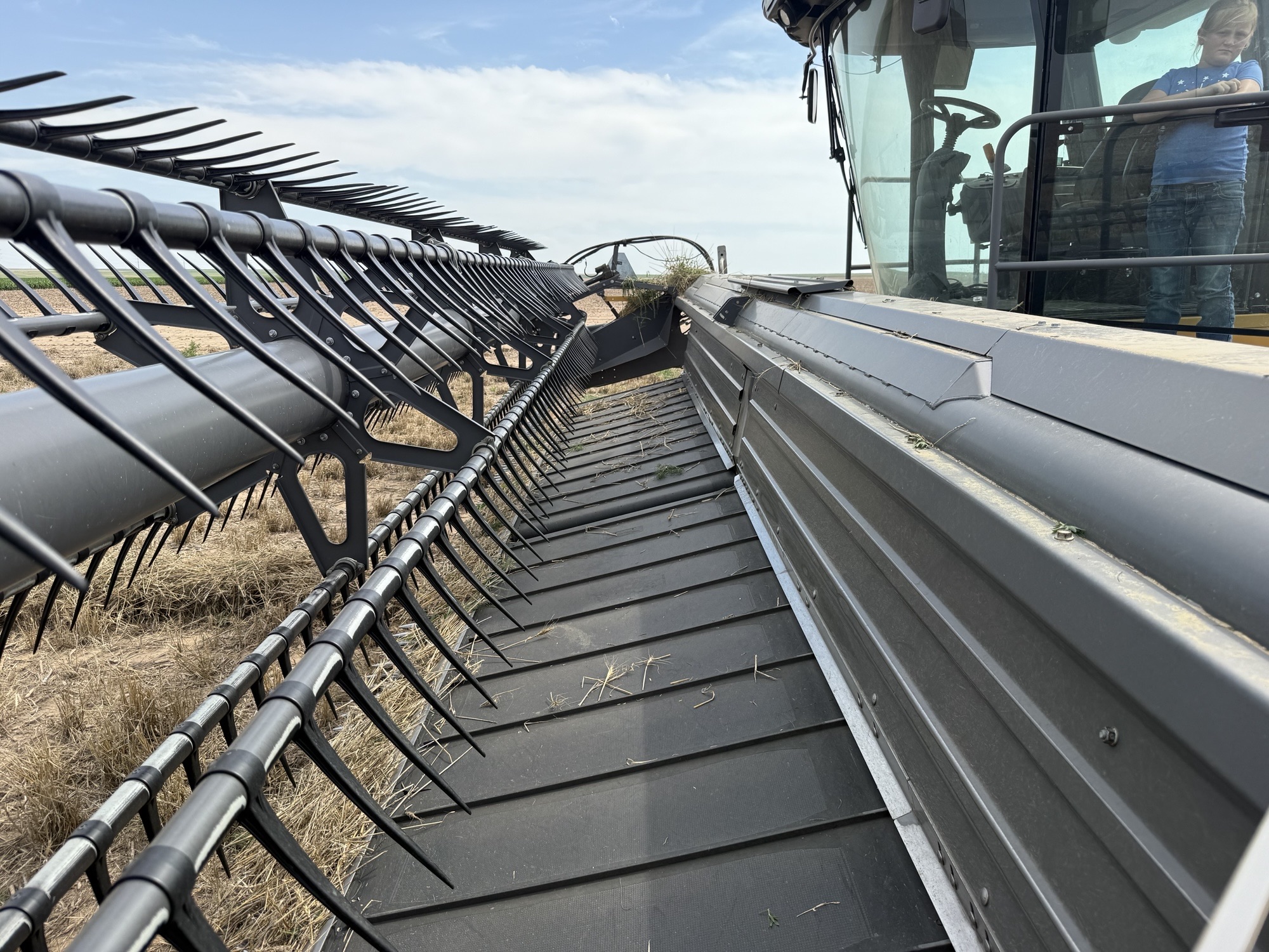 2015 Challenger WR9840 Windrower