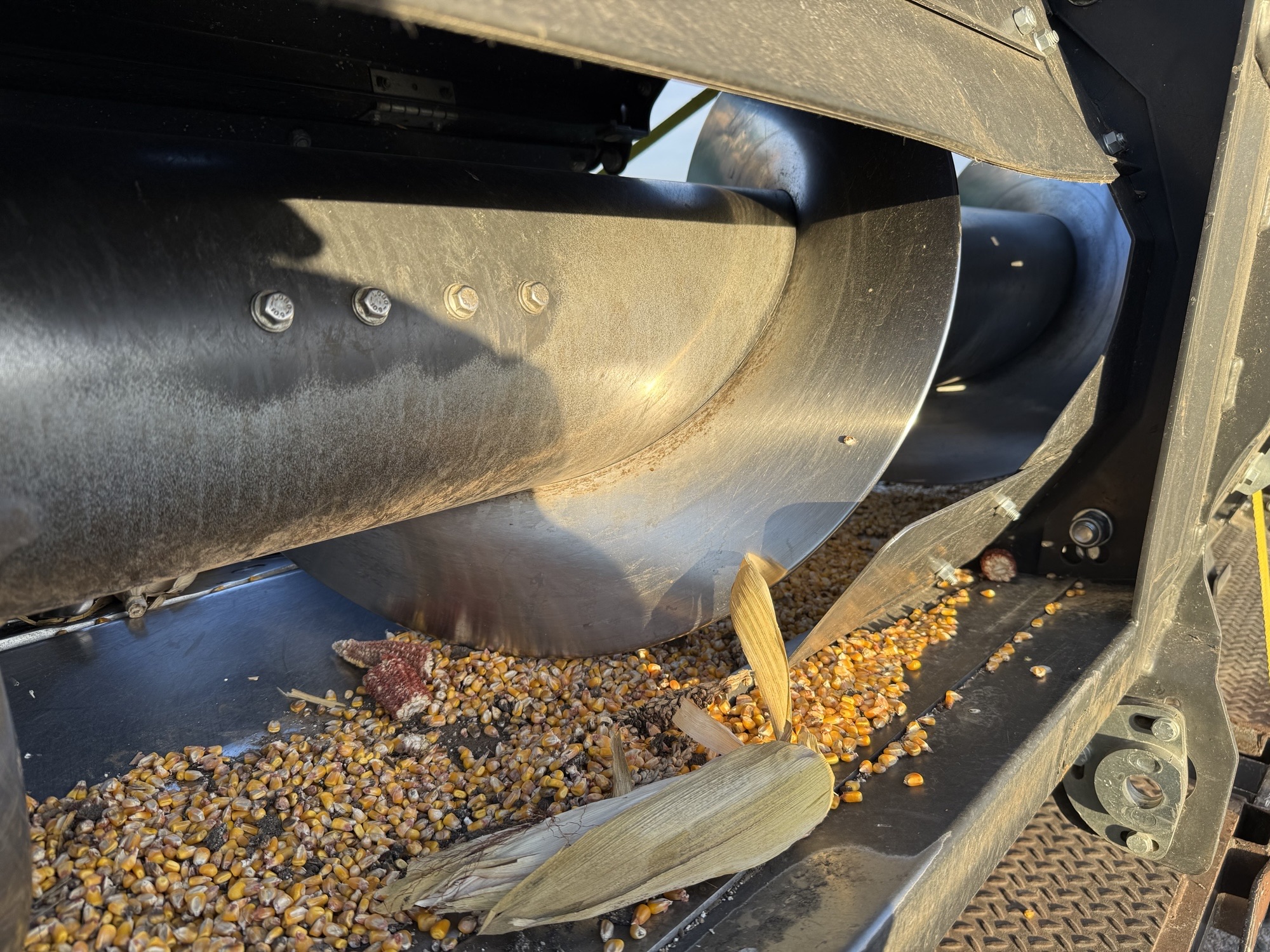 2021 Drago 1230 Header Corn Head