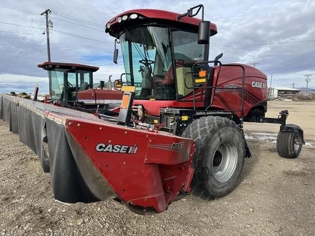 2023 Case IH WD2505 Windrower