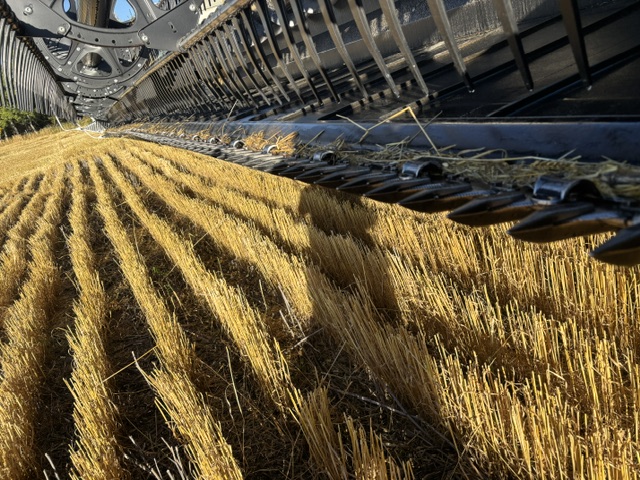 2019 MacDon FD145 Header Combine