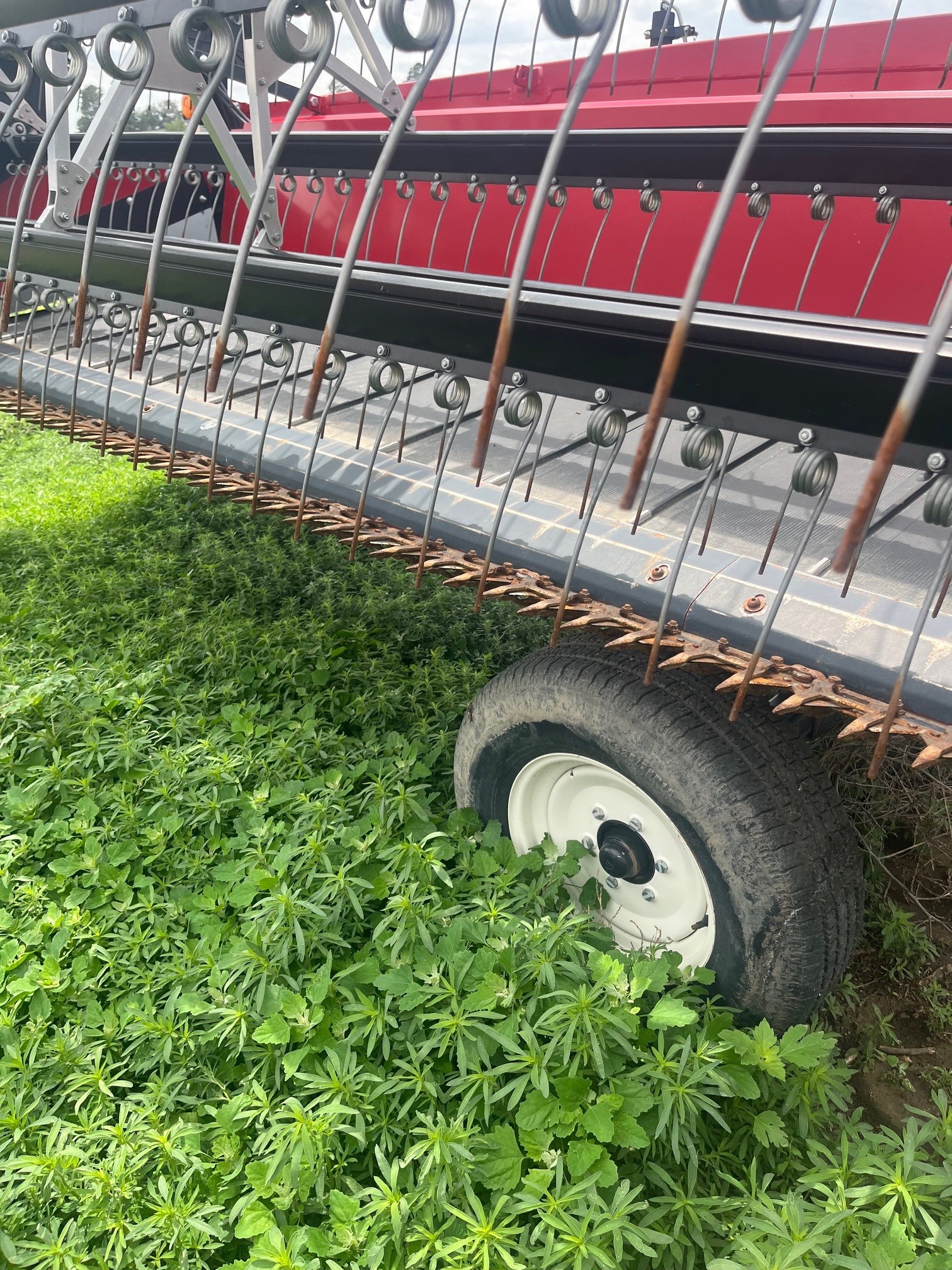 2016 Case IH WD2104 Windrower