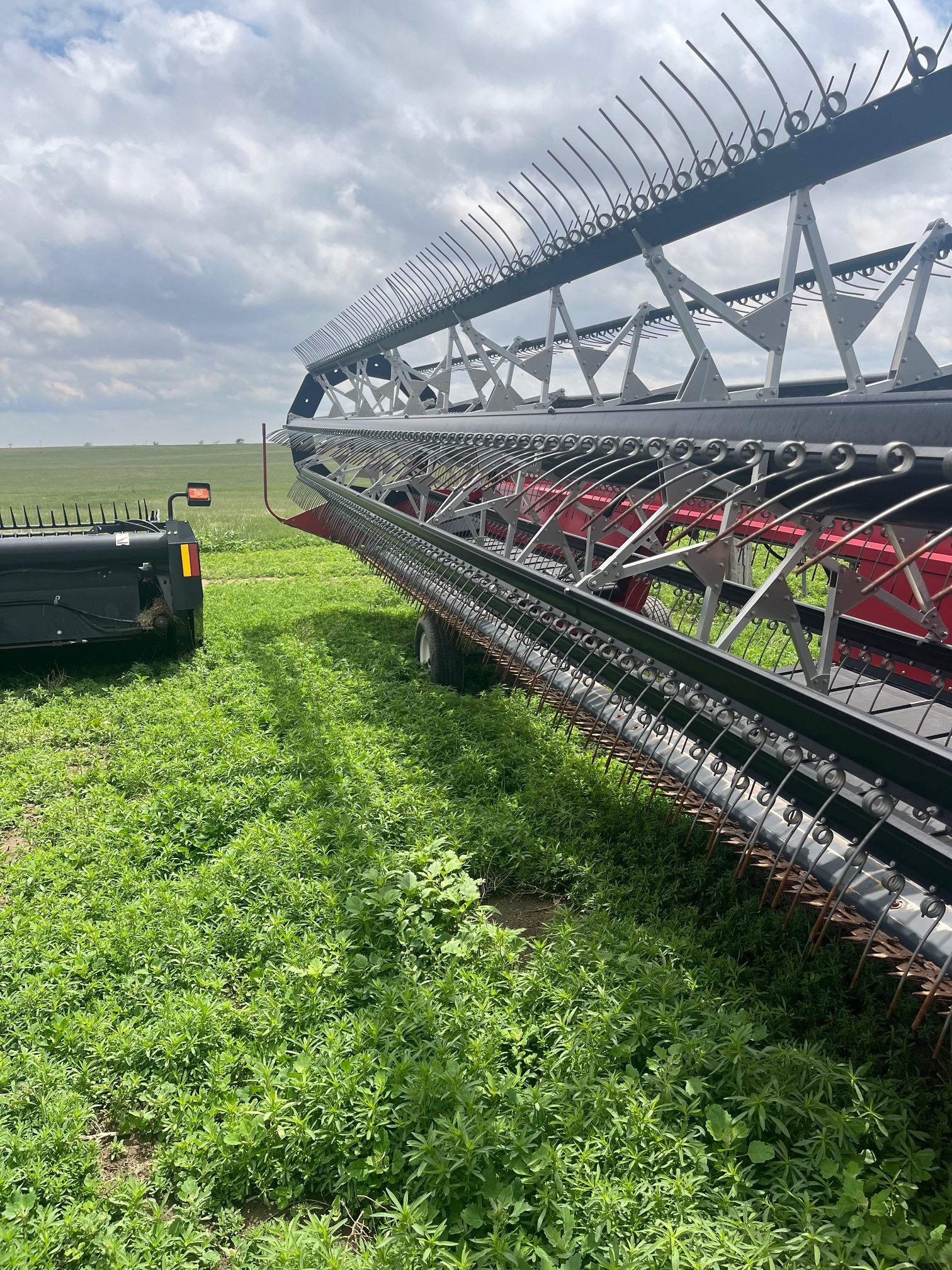 2016 Case IH WD2104 Windrower