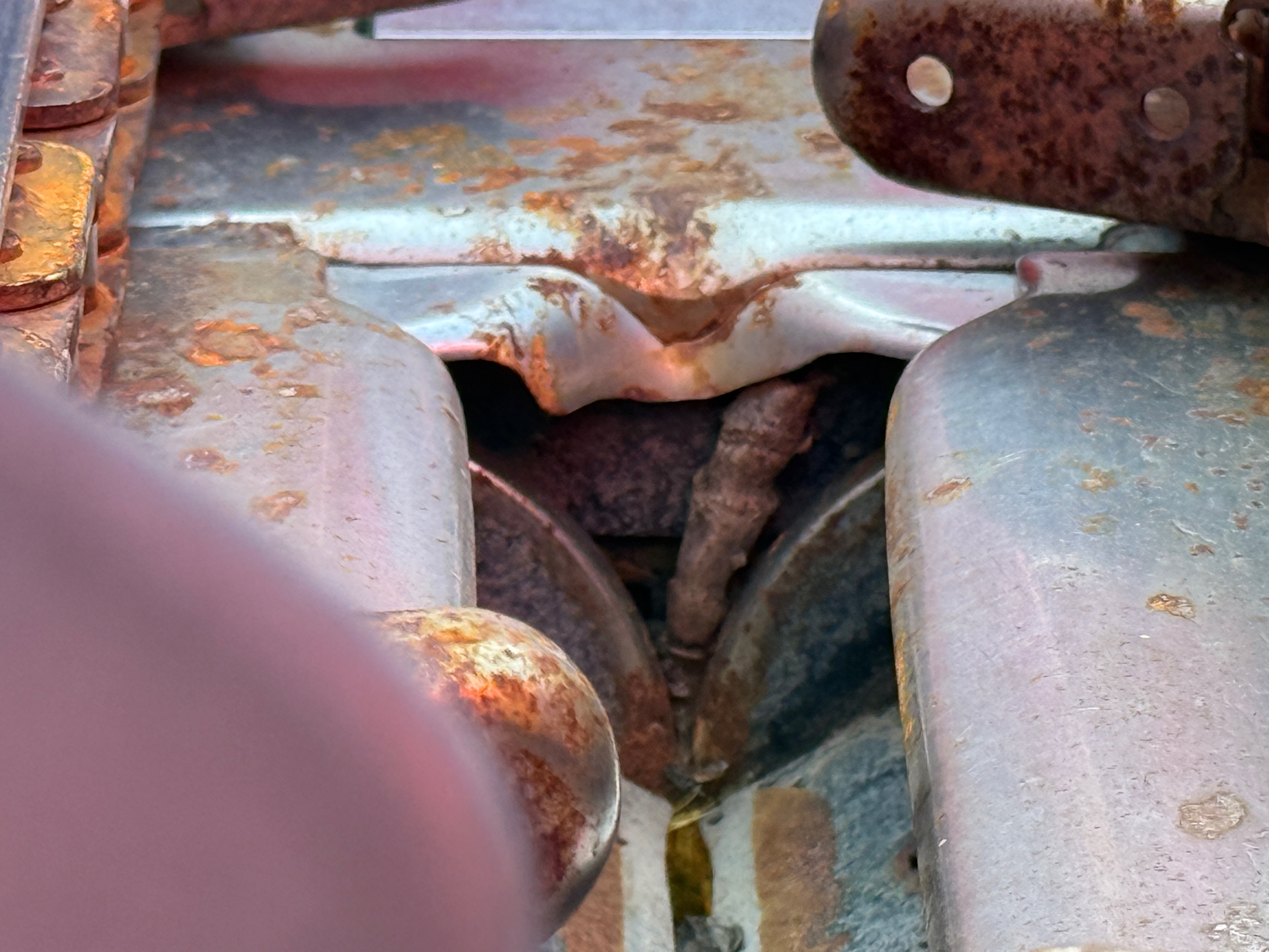 2020 Case IH 4412 Header Corn Head