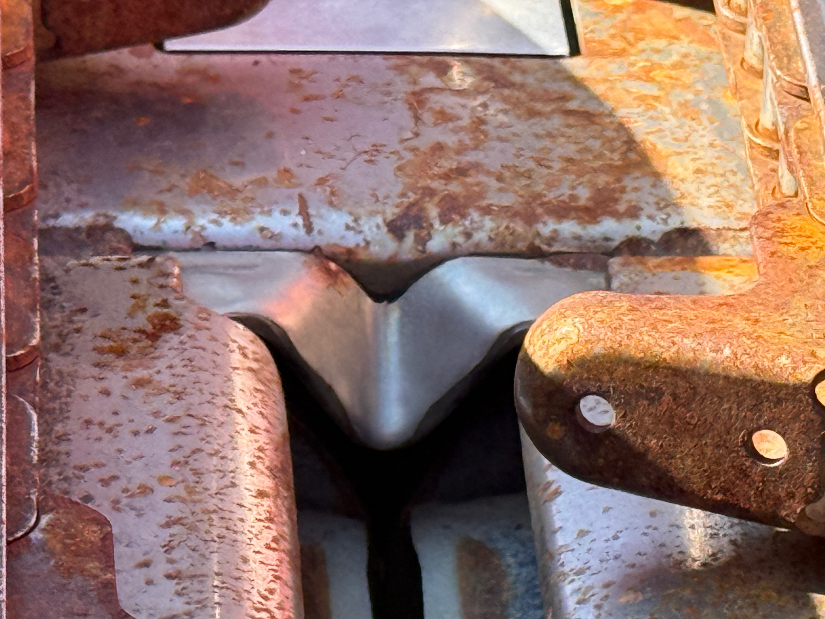 2020 Case IH 4412 Header Corn Head