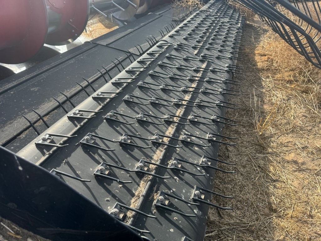 2020 Case IH 3016 Header Pickup