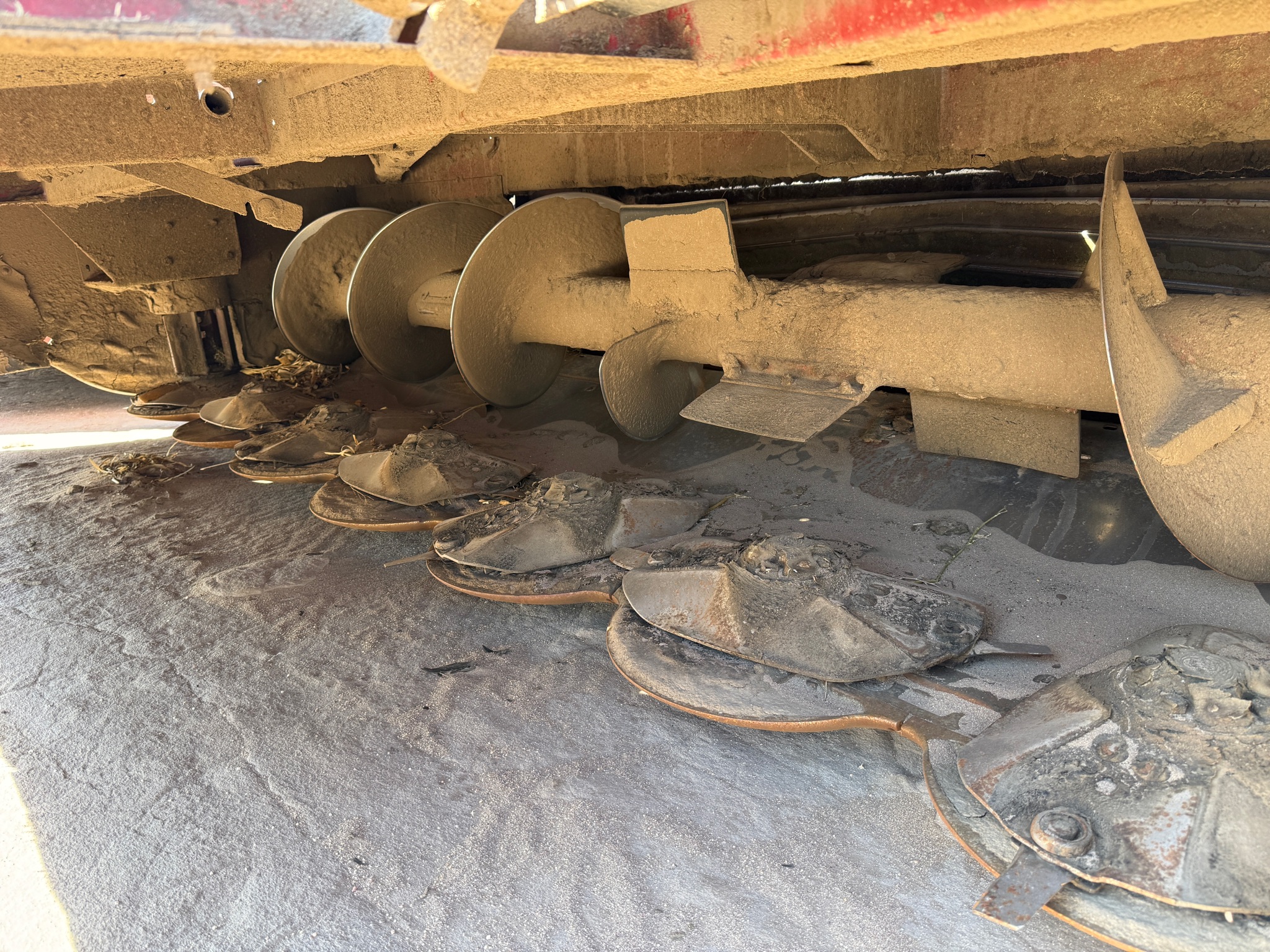 2024 Case IH WD2505 Windrower