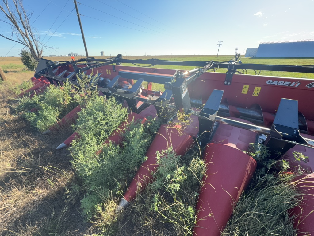 2021 Case IH 4416 Header Corn Head
