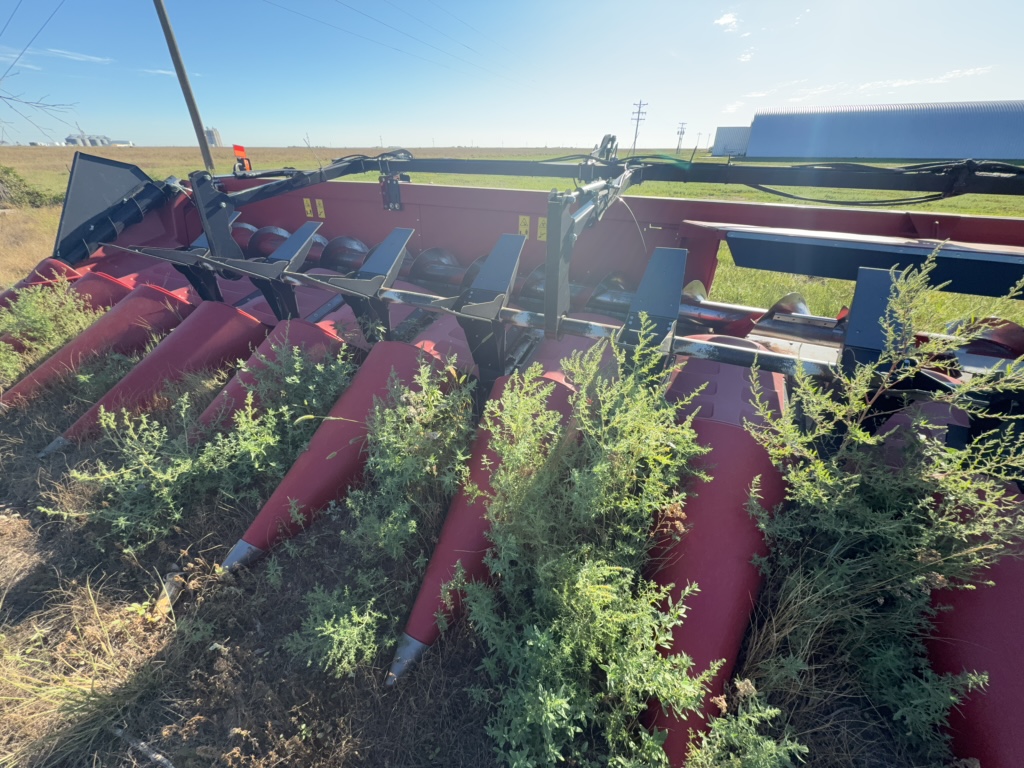 2021 Case IH 4416 Header Corn Head