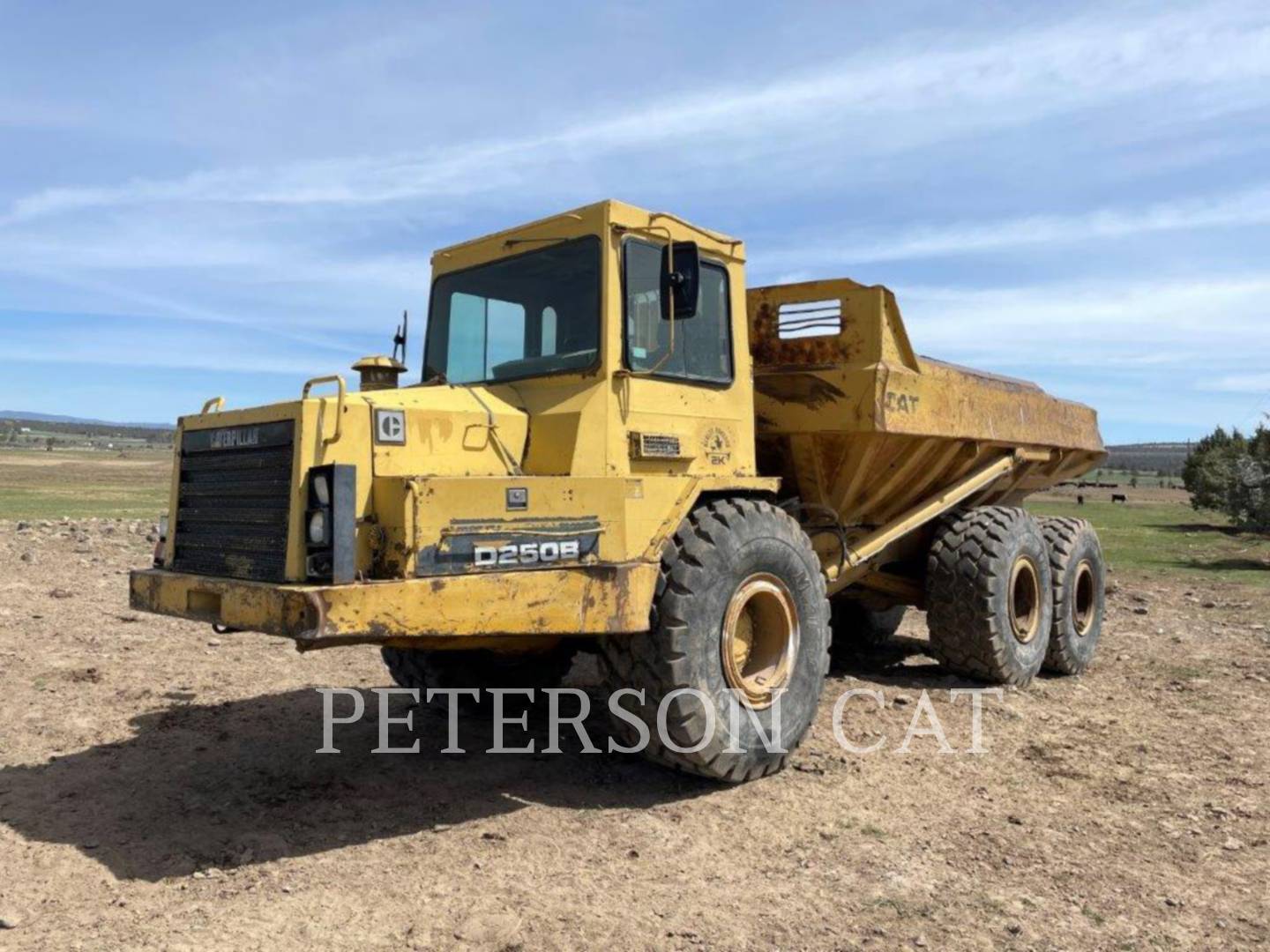 1989 Caterpillar D250B Articulated Truck